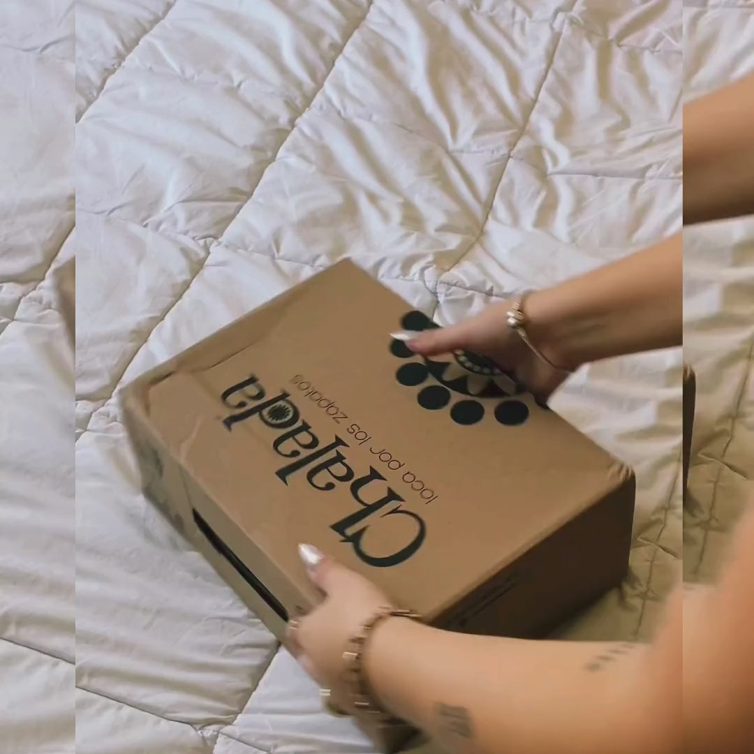 Pantufla Chalada Mujer Pinguih-3 Tostado Comfort