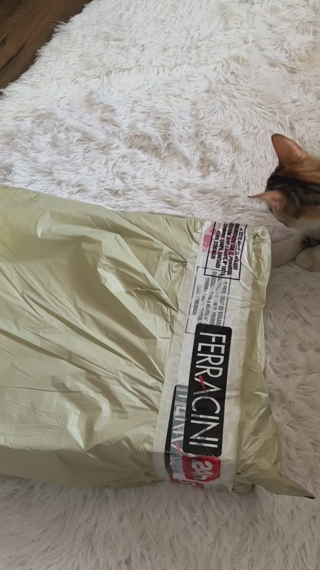 Bota Chalada Mujer Biker-7 Negro Casual