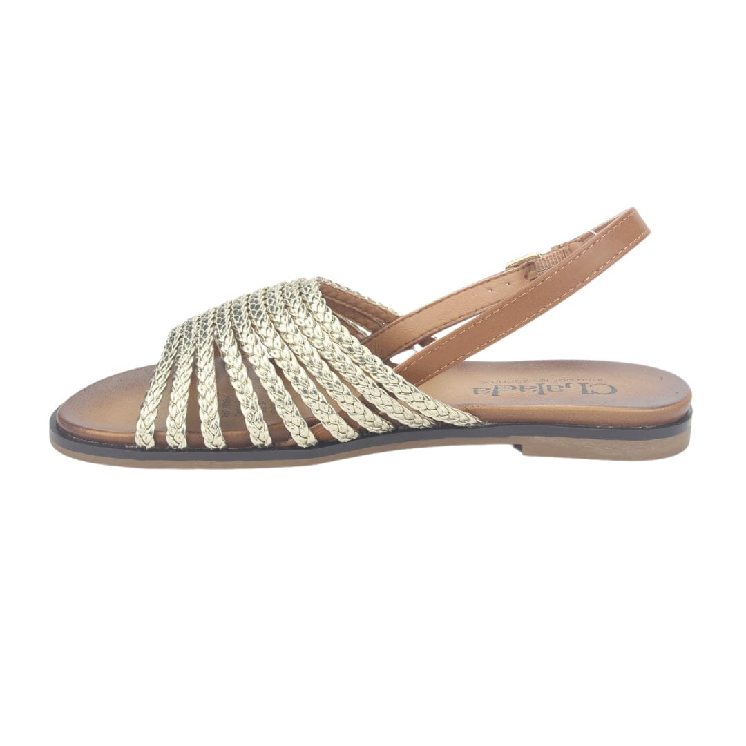 Sandalia Chalada Mujer Greca-61 Dorado Plana Sandalias Planas Chalada 